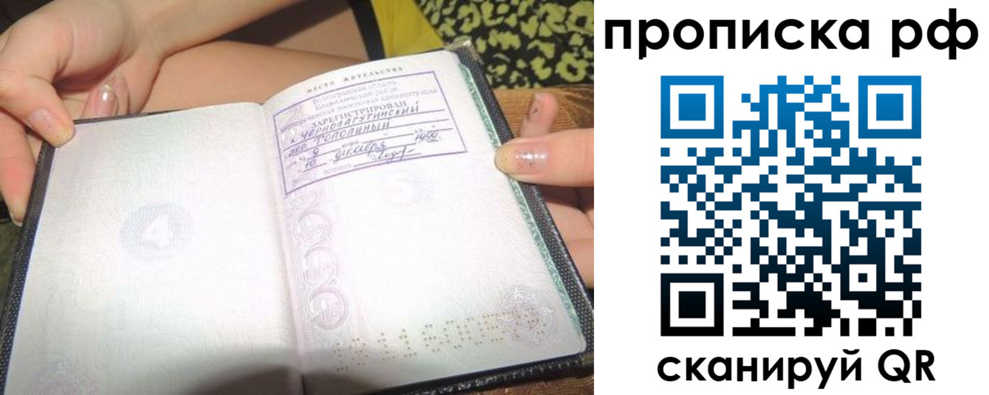 пропишу в квартире в Калининграде